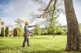 Best Storm Damage Tree Cleanup  in Greenhills, OH